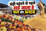 Rotten fruits