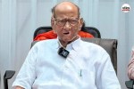 Sharad Pawar on Thackeray protest