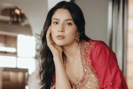 Shehnaaz Gill react on Troll fake headline against her I just pray for kids