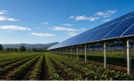 Agricalture Solar panel