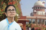 Supreme Court TMC