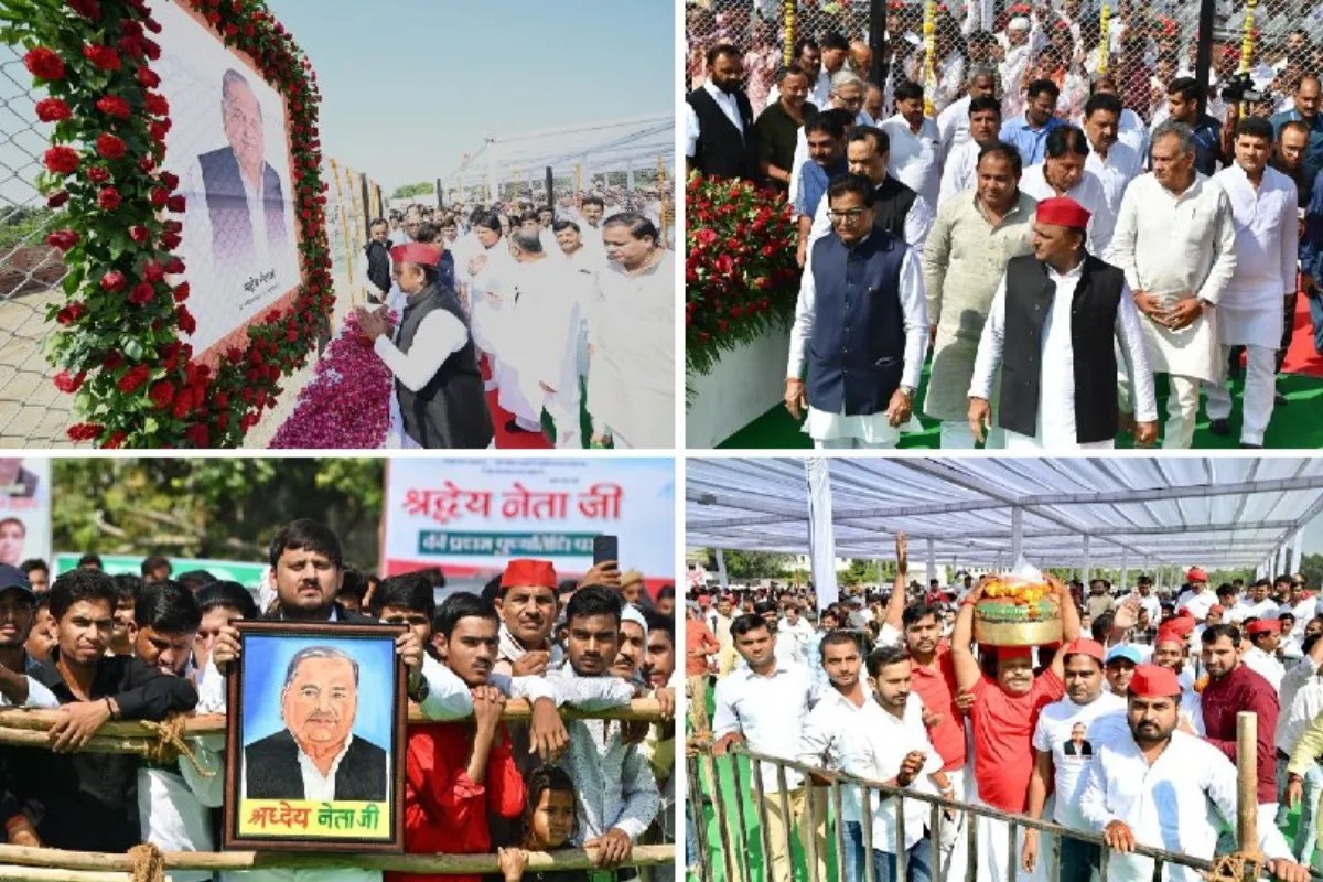 UP News
