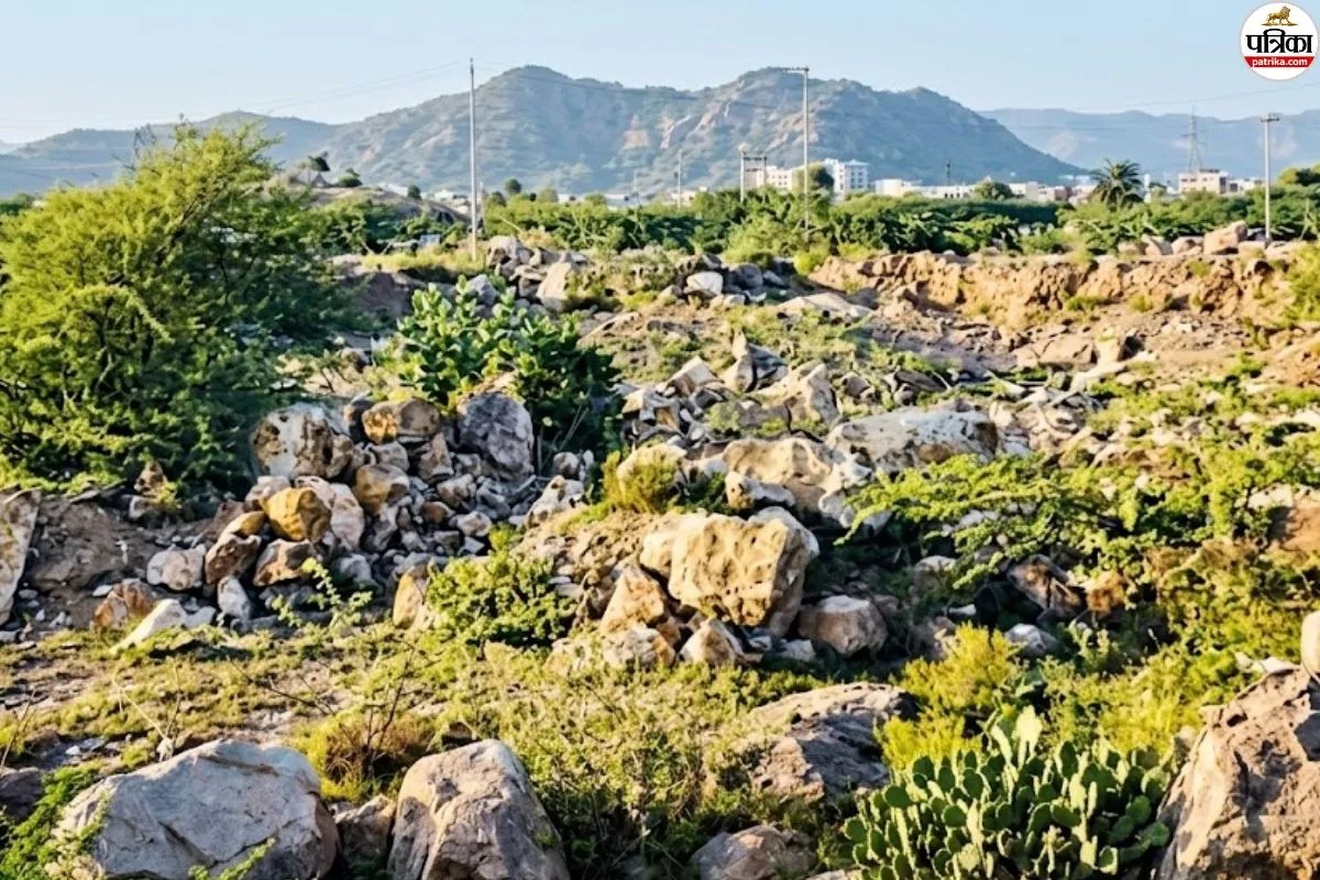 aravali hills news