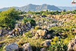aravali hills news