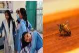 Balrampur school News