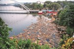 bhopal durga visarjan water pollution chemicals aquatic life