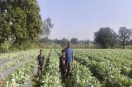 Chhattisgarh News