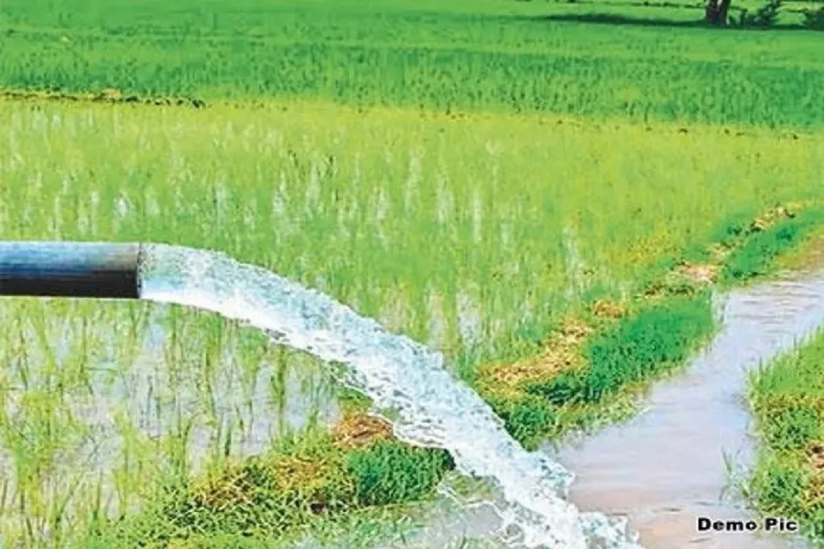 Chhattisgarh News