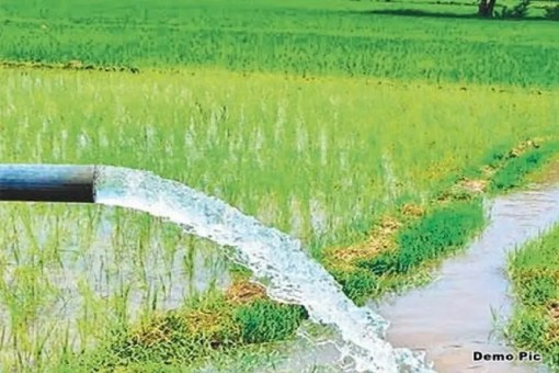 Chhattisgarh News