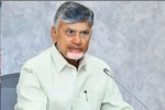 Chandrababu Naidu on EVM