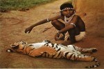 chhattisgarh tourism, chhattisgarh news