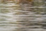Congo river