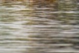 Congo river