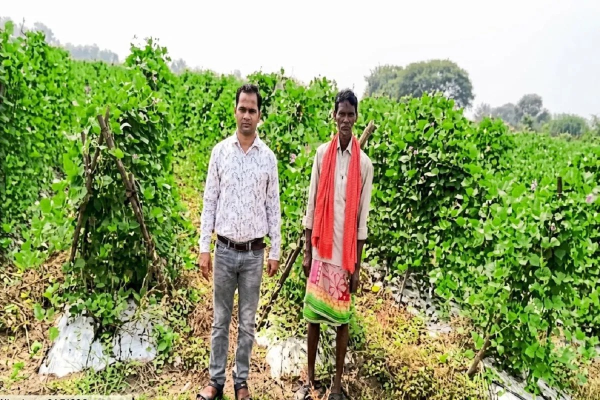 Chhattisgarh Success Story