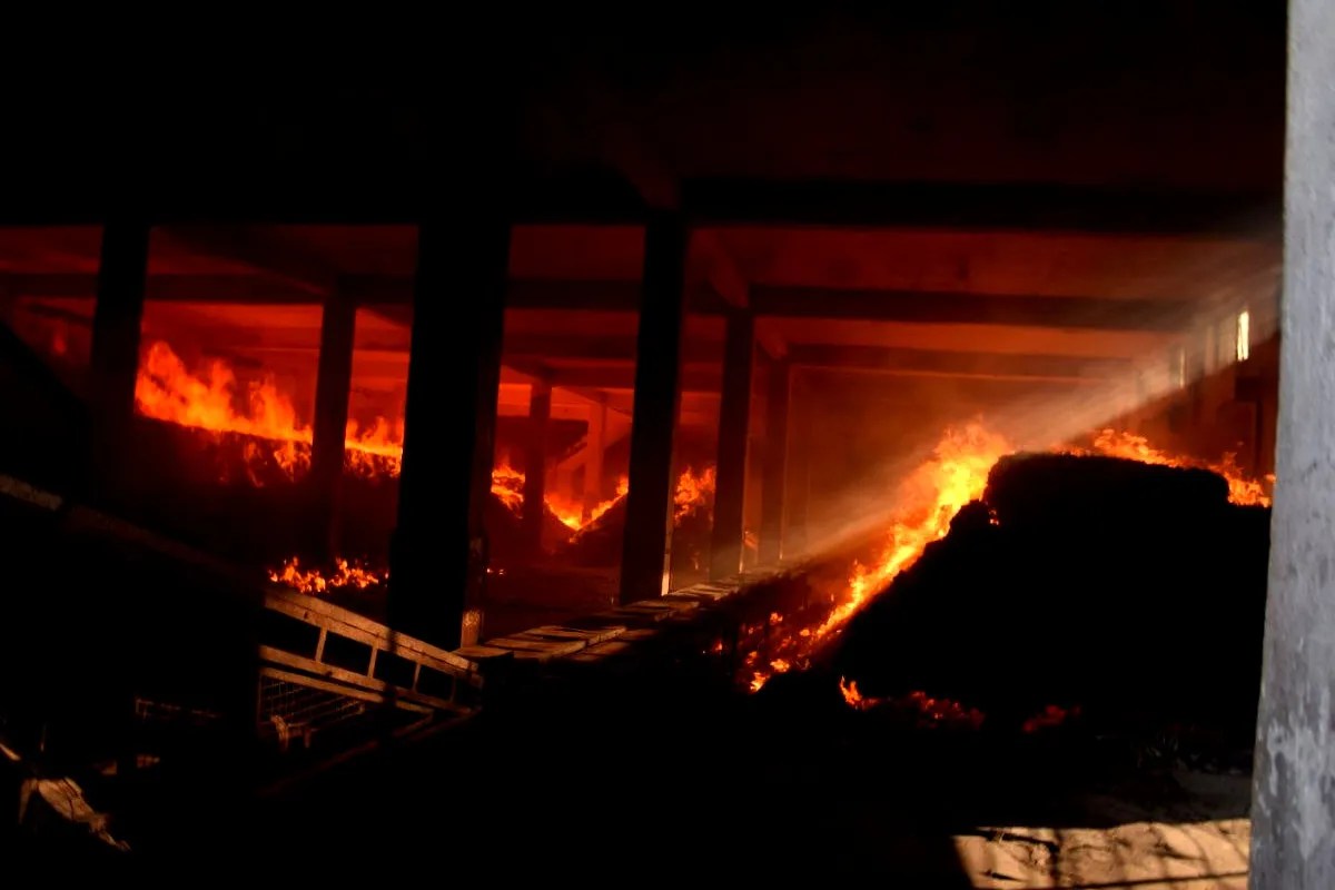Biscuit Factory Fire