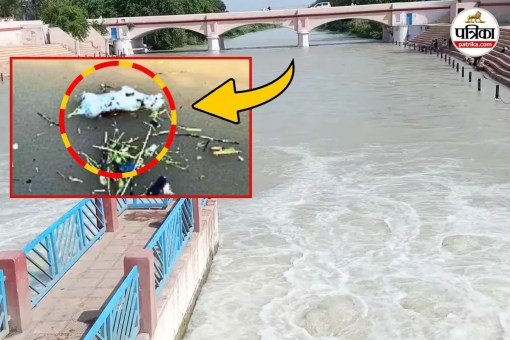 ganganagar ganganahar pollution garbage dead animals from punjab