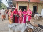 अमावस्या पर गायों की सेवा के लिए गौशाला पहुंचीं प्रवासी राजस्थानी महिलाएं।