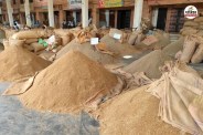 jodhpur guar rate hike rajasthan farmers happy production decreased fear