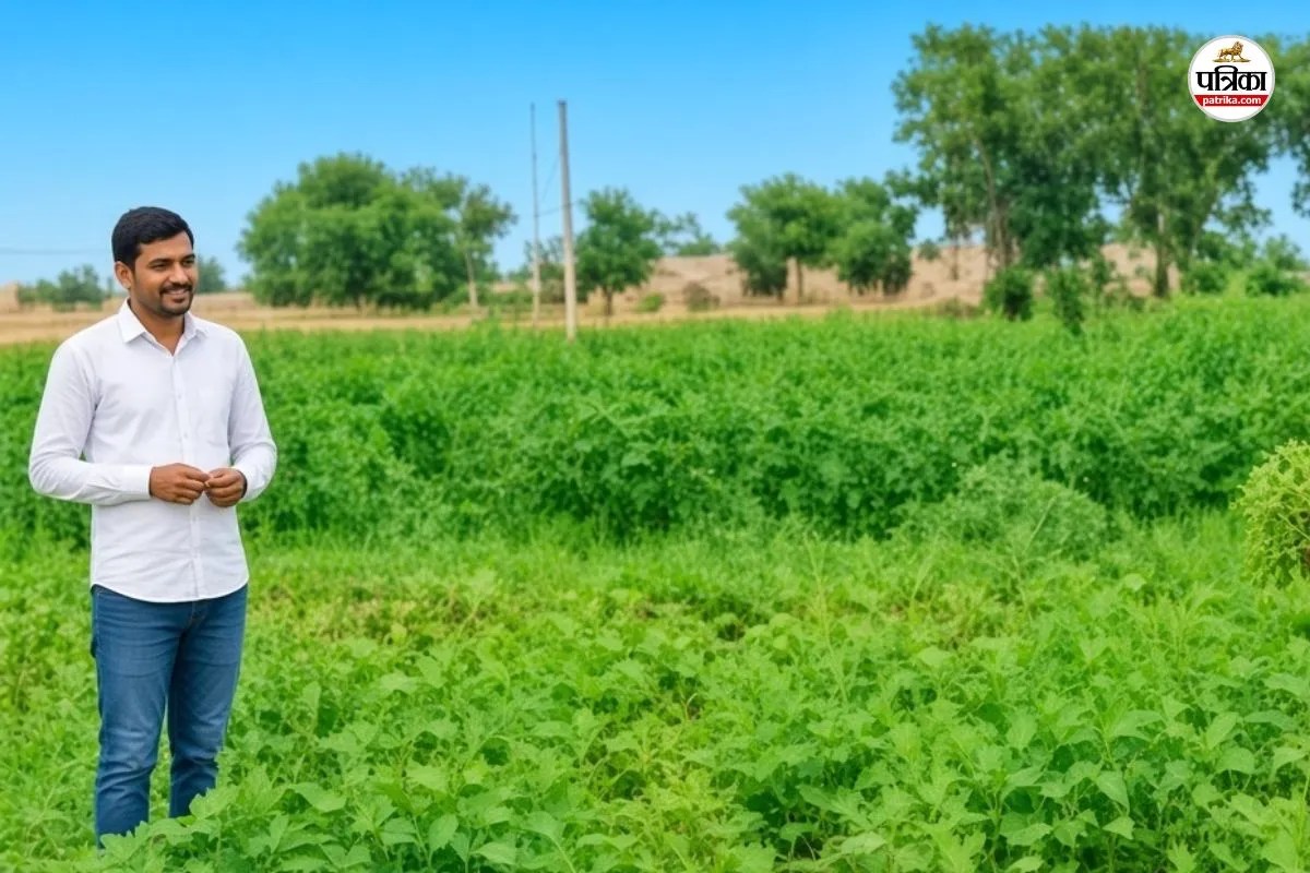 rajasthan 12 districts water crisis agriculture department new plan farming