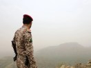 Houthi Rebel