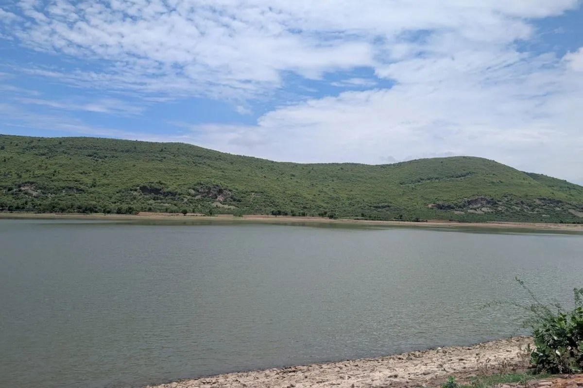 five dams failed to fill; crisis looms for rabi irrigation