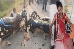 jabalpur accident