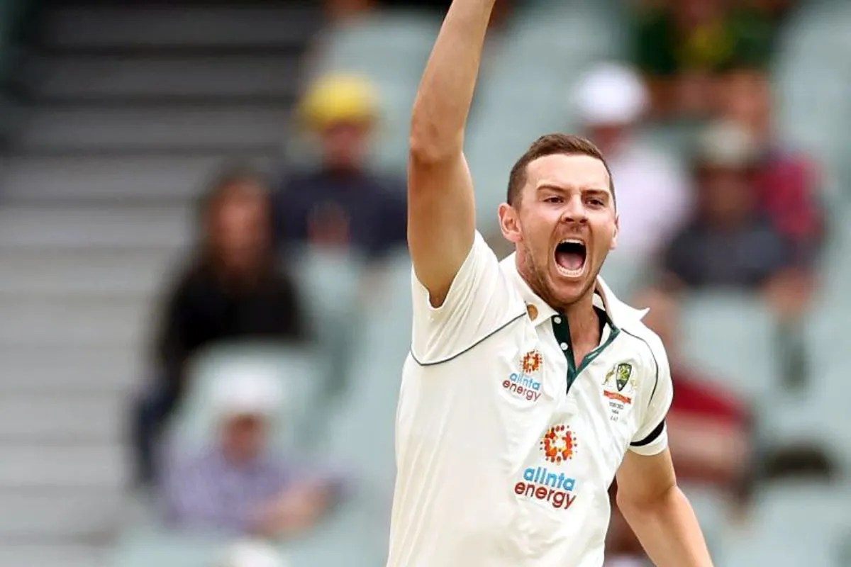 josh hazlewood latest update.