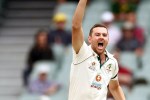 josh hazlewood latest update.