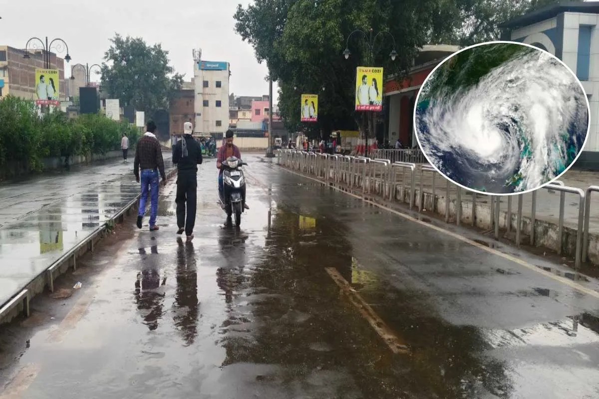 katni rain