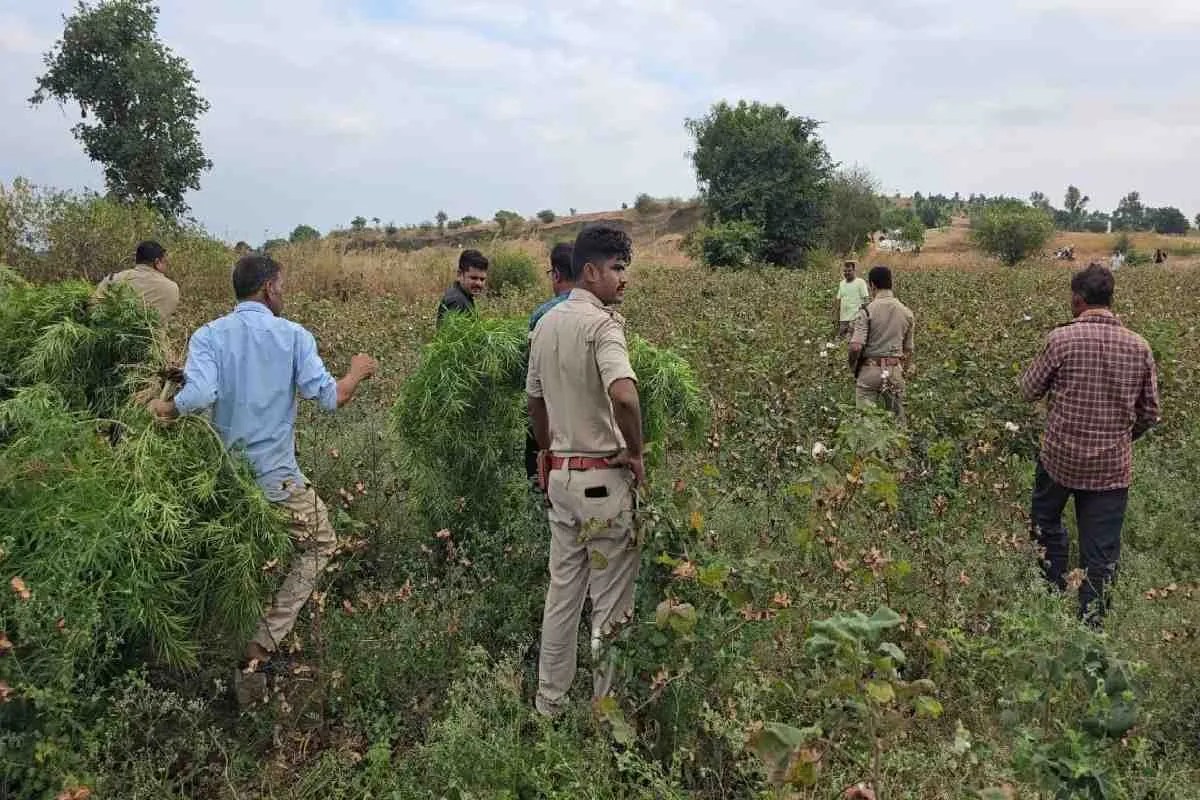 khargone ganja