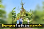 kishangarhbas 19 feet bathua