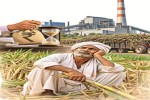 Balod Sugar mill