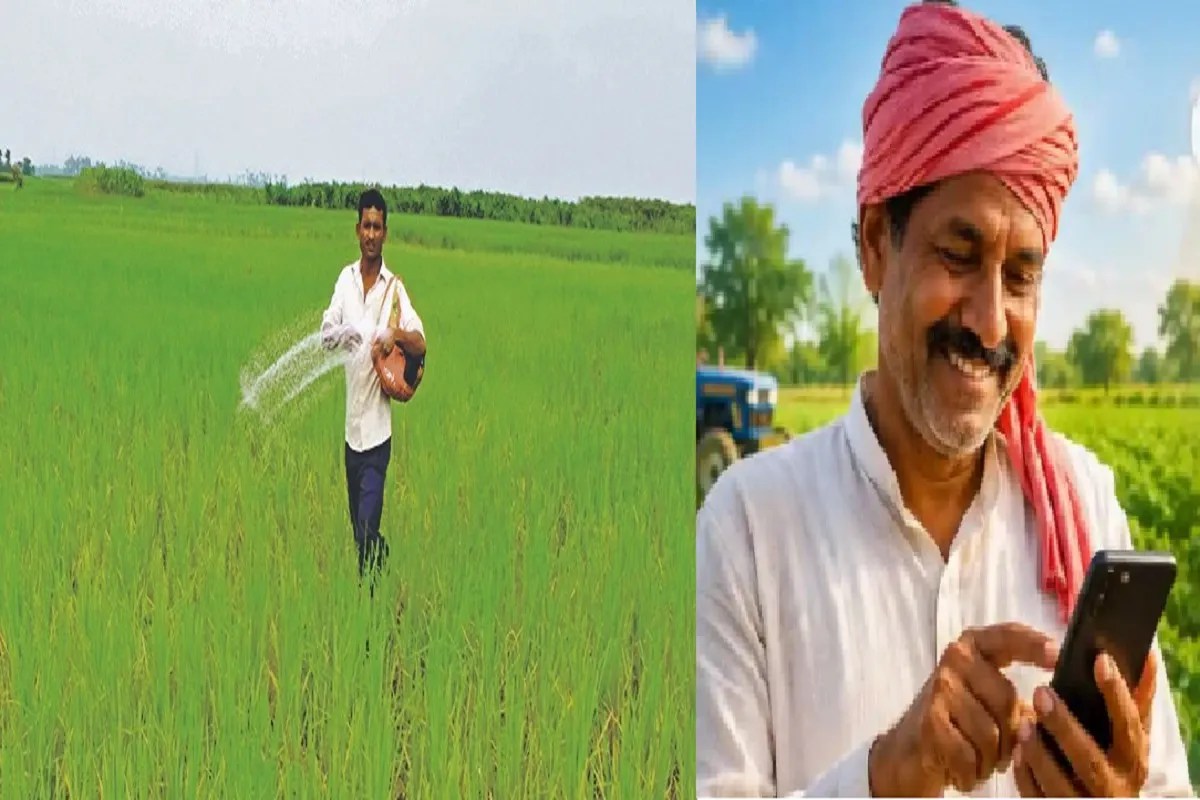Chhattisgarh Farmer News