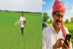 Chhattisgarh Farmer News