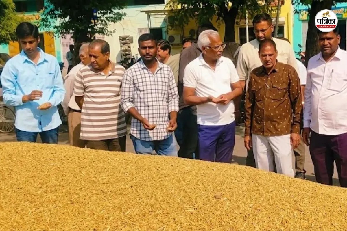 coriander prices rise new record rate doubled season farmers rejoiced