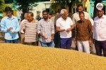 coriander prices rise new record rate doubled season farmers rejoiced