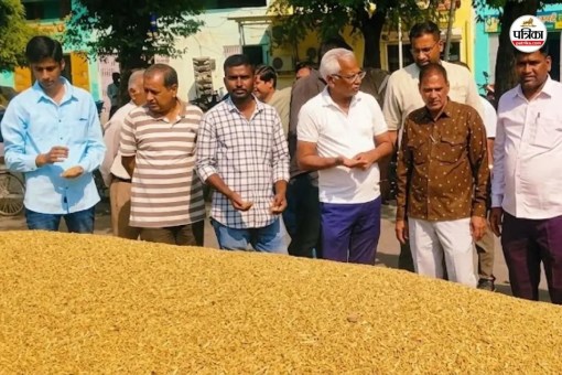 coriander prices rise new record rate doubled season farmers rejoiced