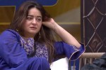 mahi vij