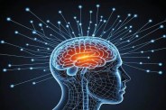 mind burnout