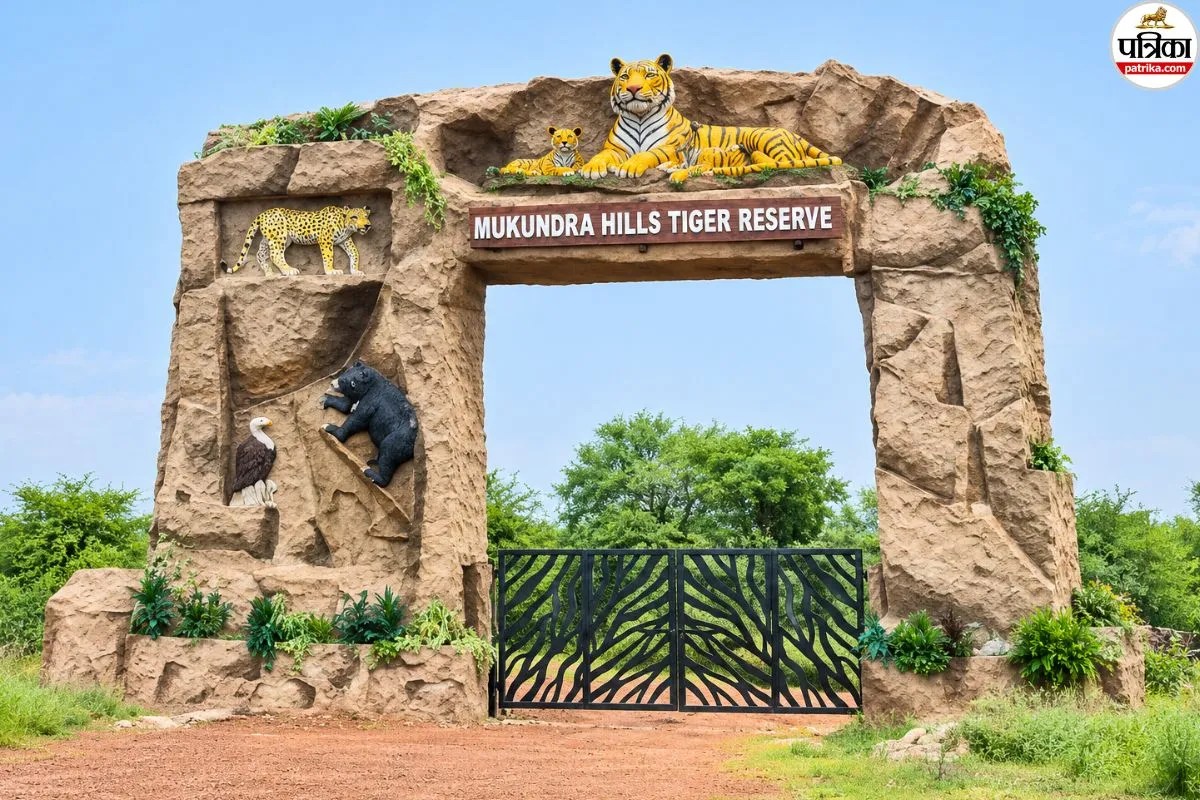 mukundra hills tiger reserve
