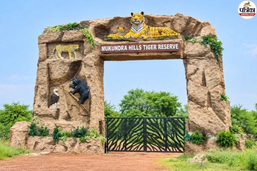 mukundra hills tiger reserve