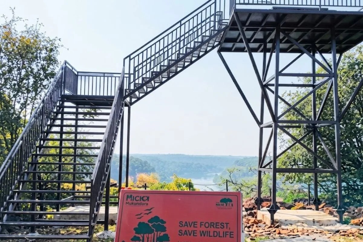 mukundra hills tiger reserve news