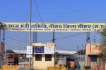 Neemuch Mandi Bhav