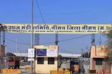 Neemuch Mandi Bhav
