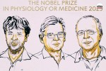 Nobel Prize 2026