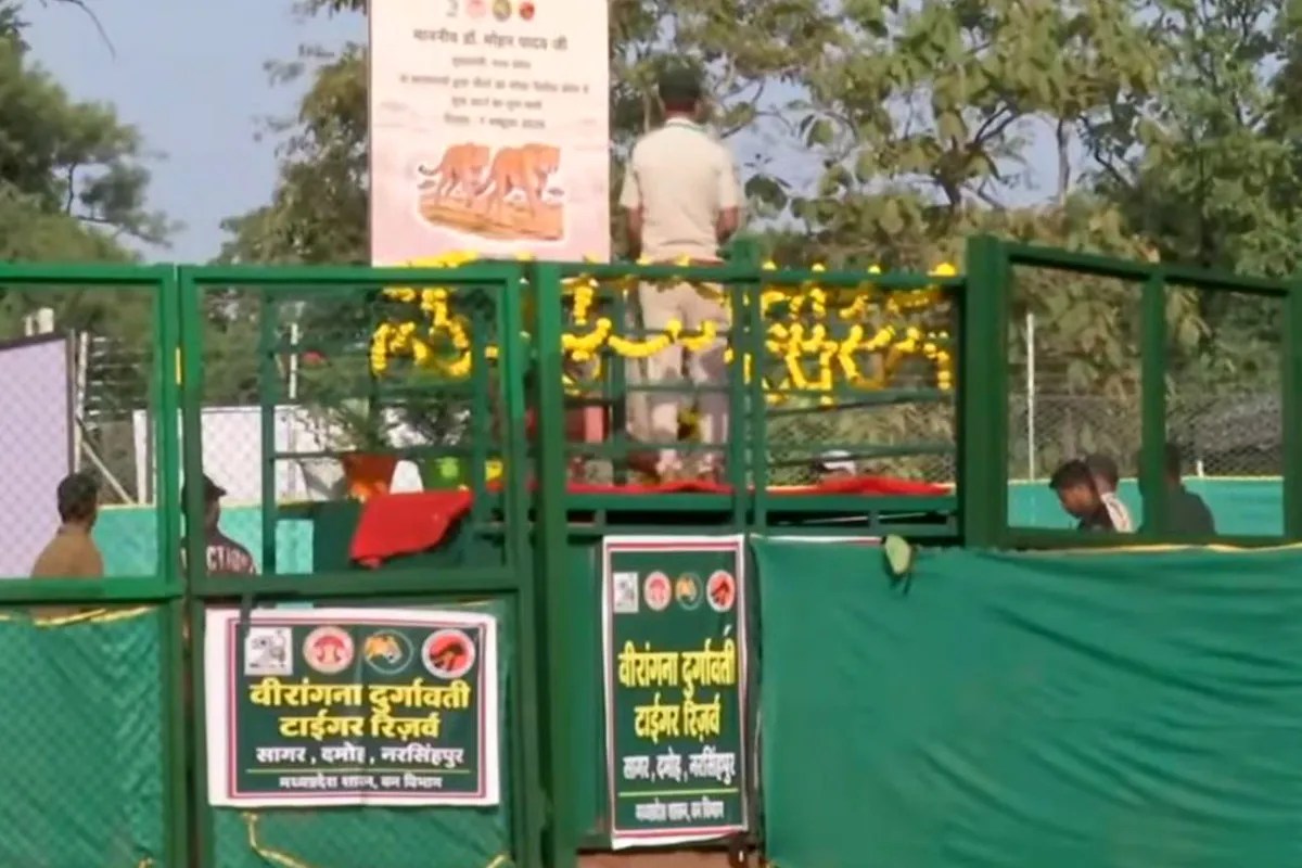 नौरादेही बना चीतों का तीसरा ठिकाना, सीएम मोहन यादव ने वीरांगना दुर्गावती टाइगर रिजर्व में छोड़े चीते