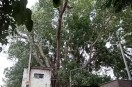 alwar weather