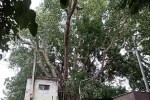 alwar weather