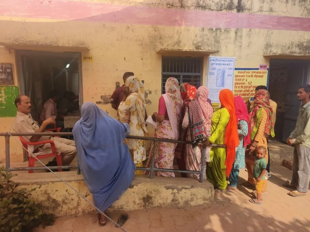 panchayat chunav
