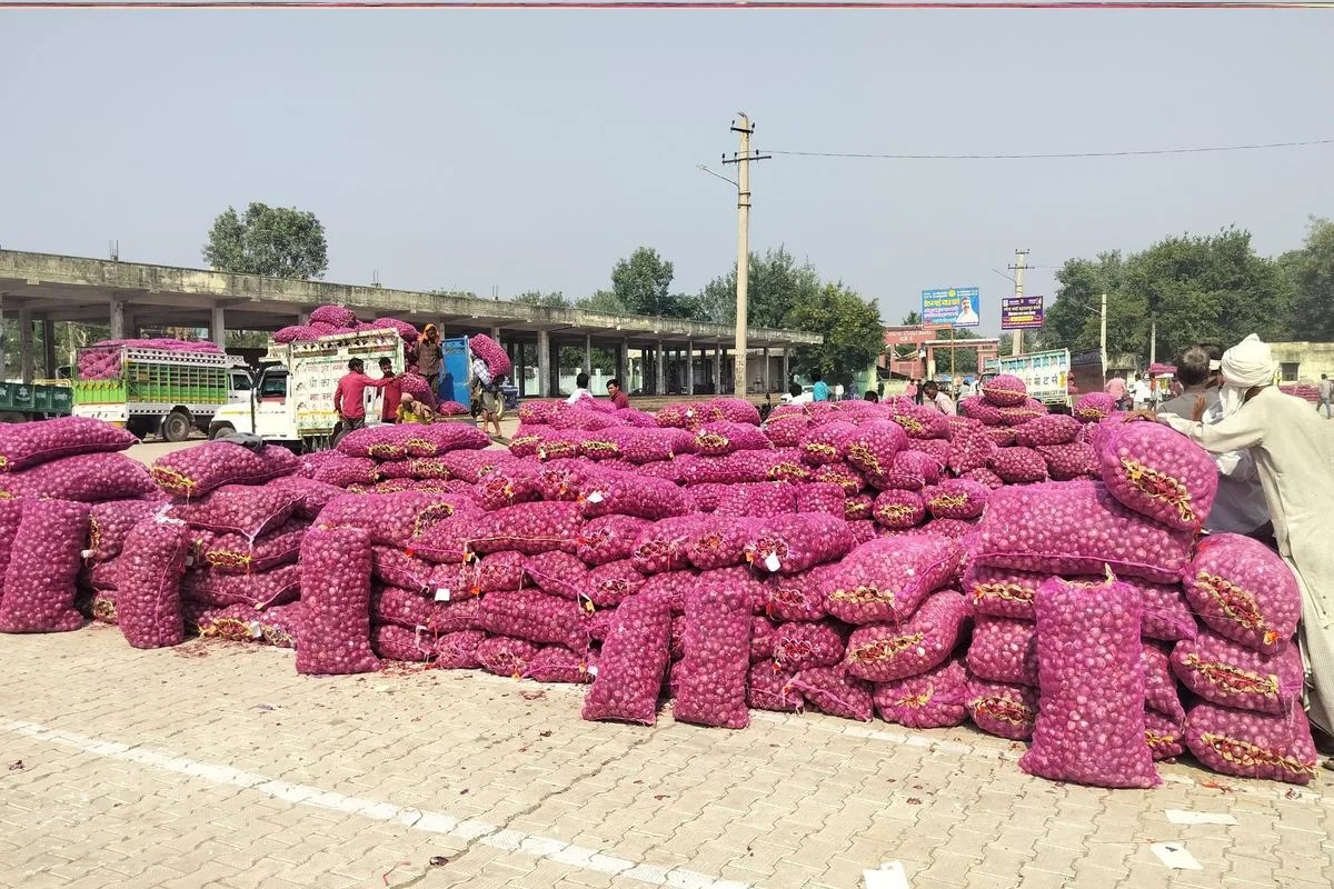 alwar mandi red onion